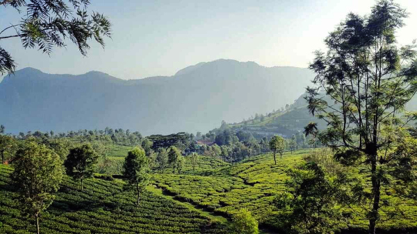 GSI testing landslide early warning system in Darjeeling & Nilgiris: Scientist