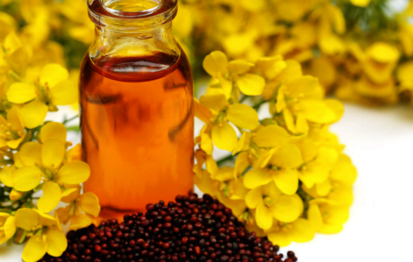 KVIC and ITBP sign MoU; Paramilitary forces to taste Khadi Mustard Oil Now