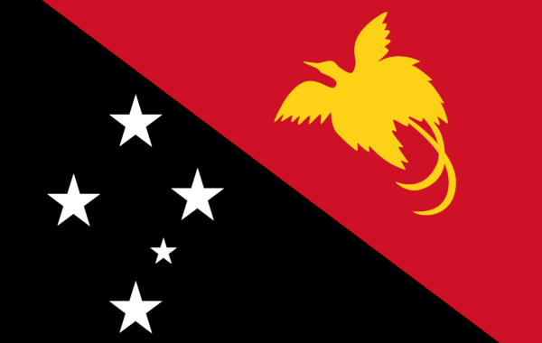 Cabinet approvesMoU between ICAI, India and CPA, Papua New Guinea