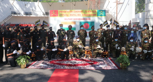 INDIAN ARMY HANDS OVER 20 FULLY TRAINED MILITARY HORSES AND 10 MINE DETECTION DOGS TO BANGLADESH ARMY