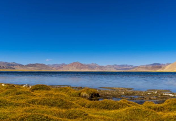 Ladakh’s Tso Kar Wetland Complex now a Wetland of International Importance.