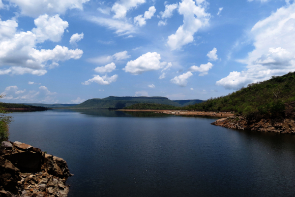 NTPC signs MoU with IIFM, Bhopal for Narmada Landscape Restoration Project