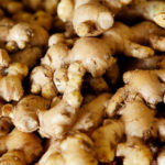 Shunthi in Ayurveda-Dry Ginger — The Classical Fire-Kindling Rhizome