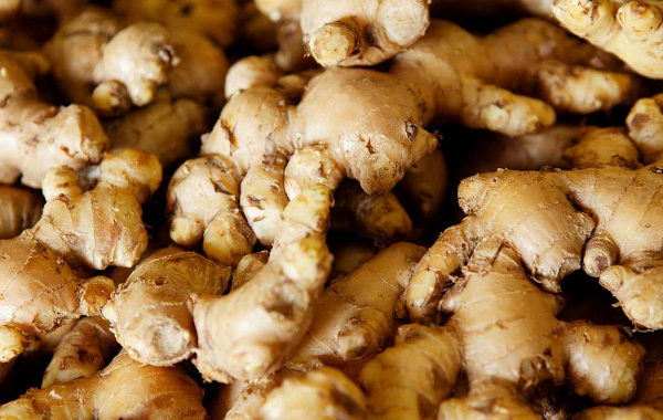 Shunthi in Ayurveda-Dry Ginger — The Classical Fire-Kindling Rhizome