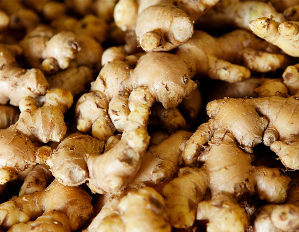 North East’s First-Ever Specialized “Ginger” Processing Plant in Meghalaya is Being Revived