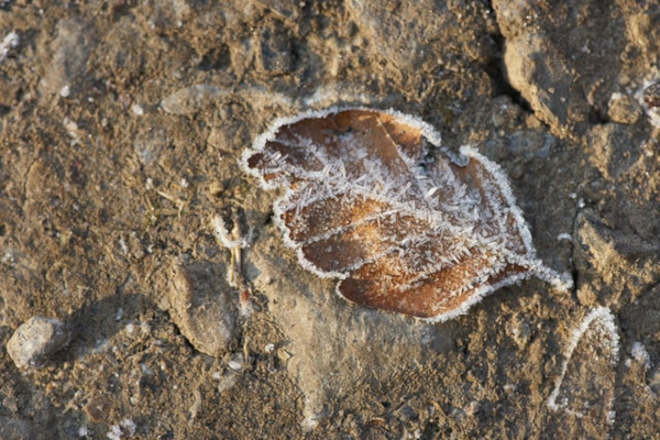 India digs to find when continents split