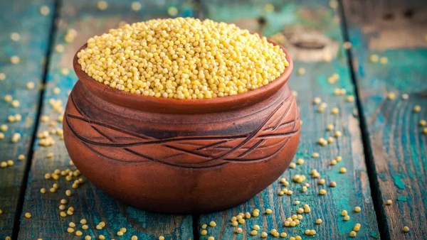 Must-Have Millets - A detailed look at nutri-cereals that offer food and nutritional security