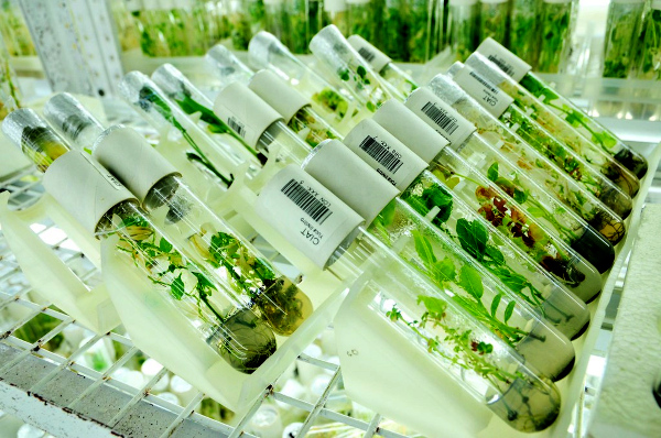 Union Agriculture Minister Inaugurated the World’s Second-Largest Refurbished Gene Bank at the National Bureau of Plant Genetic Resources