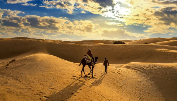 ‘DESIGNS’ to conserve and restore Thar desert-