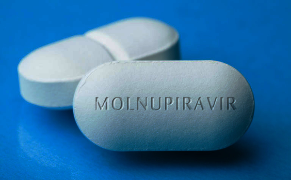 Everest Organics Limited developed Molnupiravir, a new API to treat COVID-I9