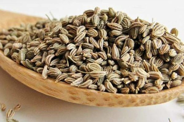 Export of Bishop seeds (Ajwain) sees a growth of almost 158 % since 2013