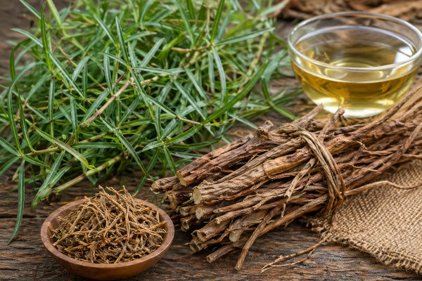 Indian Sarsaparilla / Sariva / Nannari