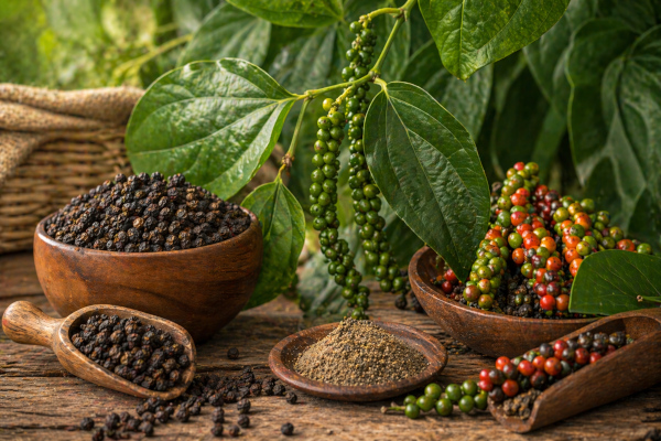 Pepper harvest in rustic setting