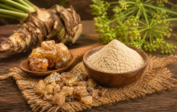 Asafoetida in Ayurveda: The Fierce Little Pinch That Turns Food Into Medicine