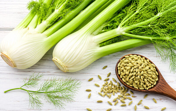 Fennel Seeds in Ayurveda: Saunf as the Gentle Digestive Spice of the Indian Kitchen
