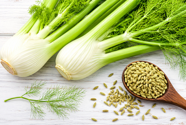Fresh fennel still-life with seeds