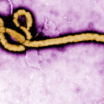 India Extends USD 10 Million Support to Strengthen Africa’s Ebola Response