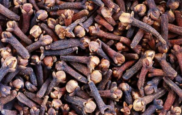 Clove in Ayurveda: The Tiny Flower Bud That Awakens Digestion, Breath and Oral Health