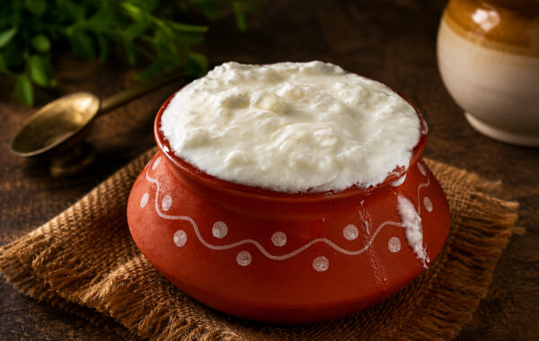 Curd in Ayurveda: Dadhi, Takra and the Ancient Indian Science of Fermented Food