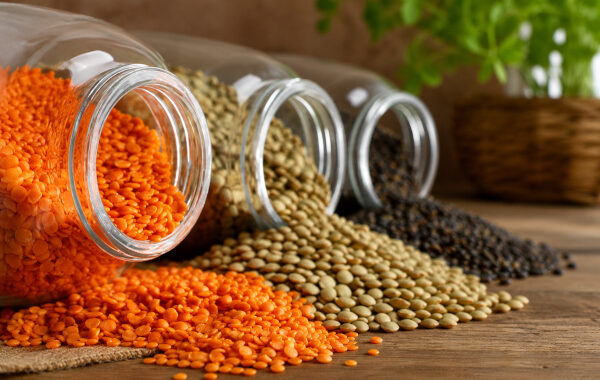 Lentil in Ayurveda: The Strength-Giving Dal That Nourishes Without Heaviness