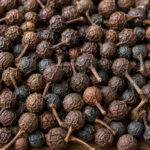 Kankola / Tailed Pepper in Ayurveda : The Aromatic Fruit for Digestion, Kapha and Respiratory Balance