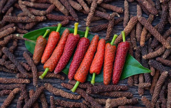 Pippali / Long Pepper in Ayurveda: The Deepana Rasayana for Digestion, Respiration and Strength