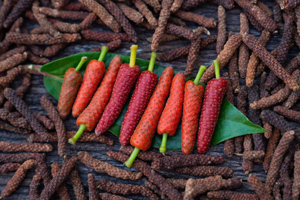 Pippali / Long Pepper in Ayurveda