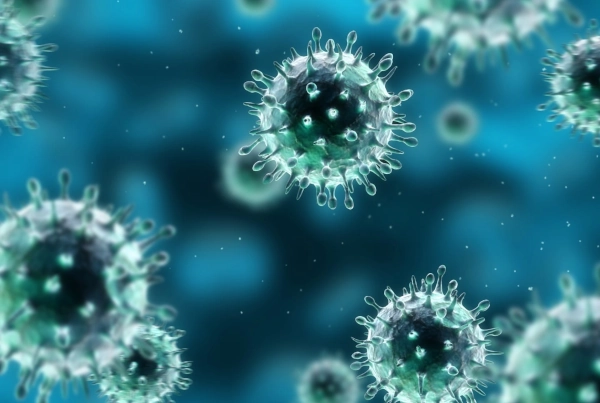 India Develops Indigenous Vaccine Against African Swine Fever
