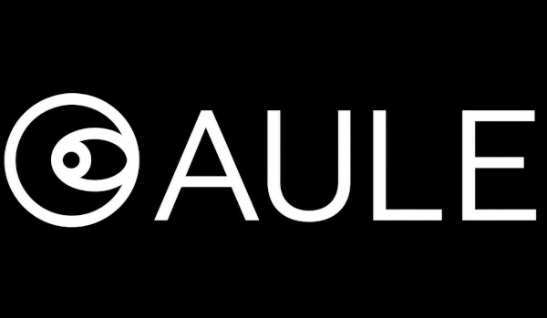 Aule