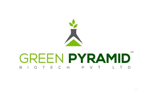 Green Pyramid Biotech Turns Sophorolipid Research Into a Natural Food-Safety Platform