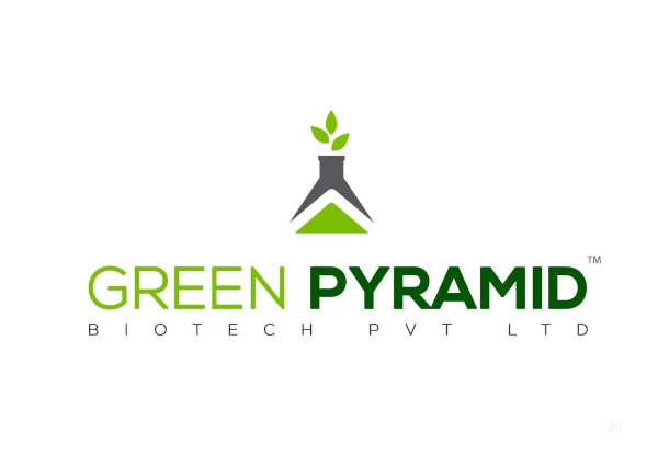 Green Pyramid