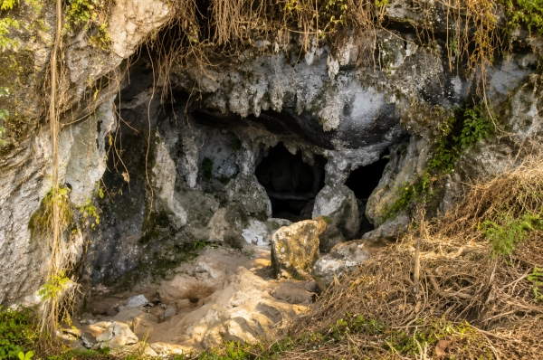 Nagaland Rock Shelter