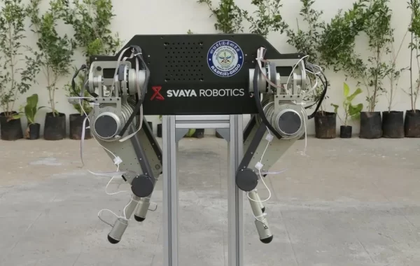 Swaya Robotics