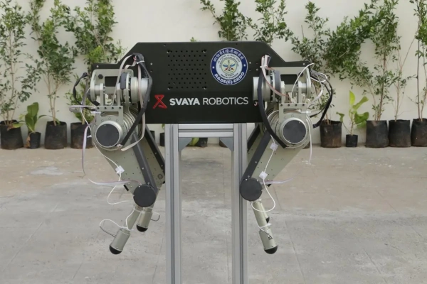 Swaya Robotics